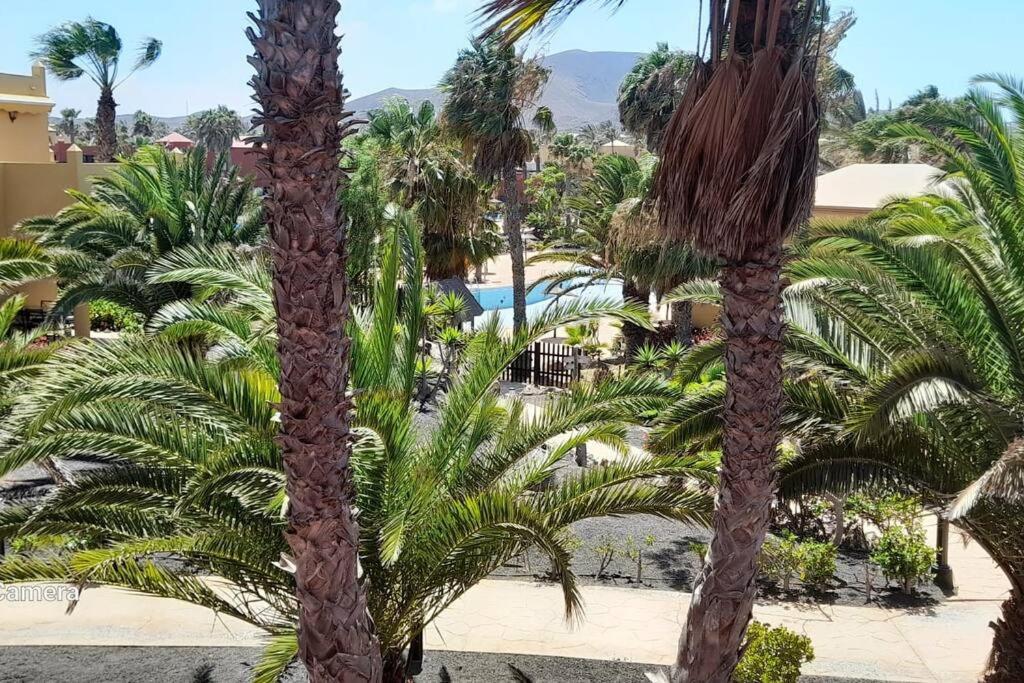 Apartment Cumbre Vieja Fuerteventura Corralejo Buitenkant foto