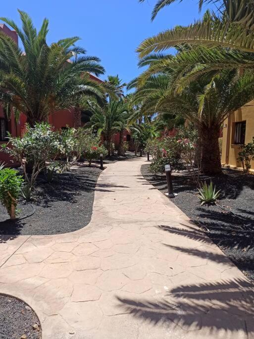 Apartment Cumbre Vieja Fuerteventura Corralejo Buitenkant foto