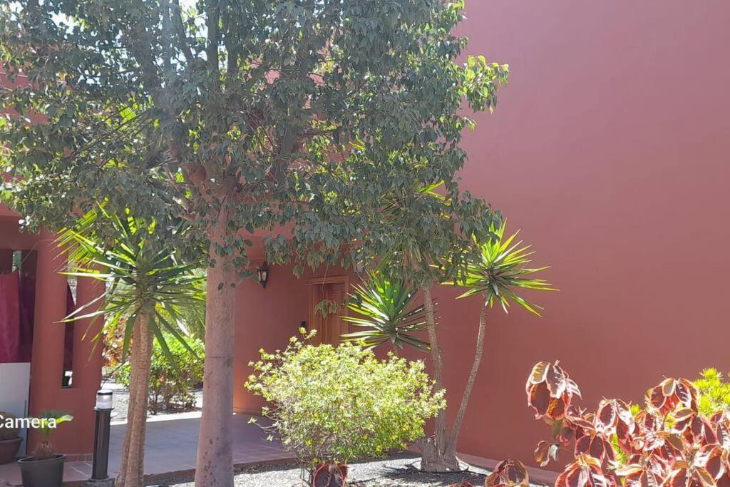 Apartment Cumbre Vieja Fuerteventura Corralejo Buitenkant foto