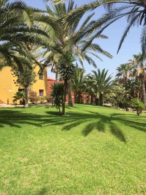 Apartment Cumbre Vieja Fuerteventura Corralejo Buitenkant foto