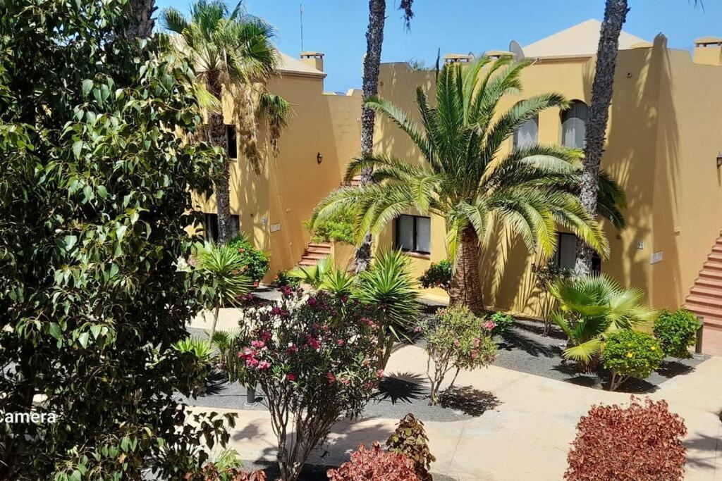 Apartment Cumbre Vieja Fuerteventura Corralejo Buitenkant foto